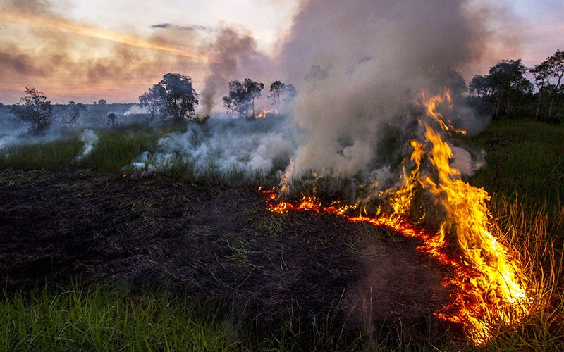 Kapolda Kalsel Tegas Bakal Tetapkan Tersangka jika Temukan Bukti Perusahaan Biarkan Karhutla