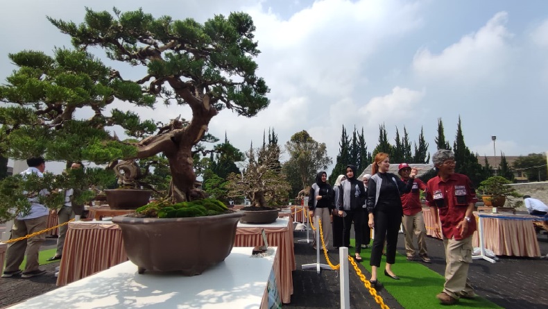 HUT ke-77 Bhayangkara, Puluhan Bonsai Dipamerkan di Sespim Polri Lembang KBB