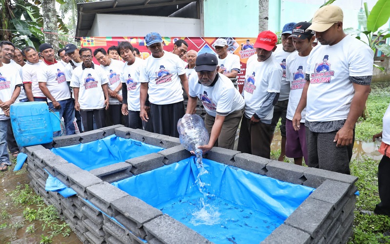 Balad Ganjar Bangun Kolam Pemijahan Lele untuk Kelompok Nelayan di Pangandaran
