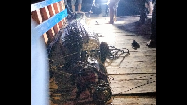 Pilu, Pencari Siput di Sungai Lebur Kutim Ditemukan Tewas Dalam Perut Buaya