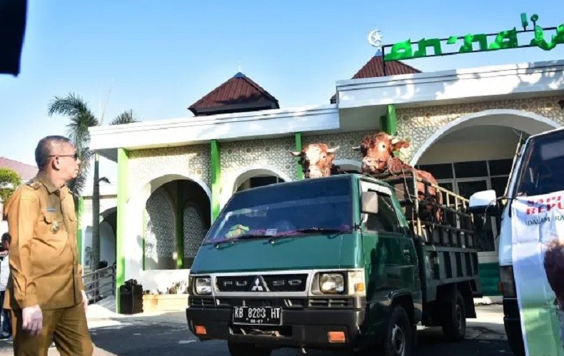 Sapi Kurban Presiden Jokowi Berbobot 1 Ton Diserahkan ke Masjid di Kubu Raya