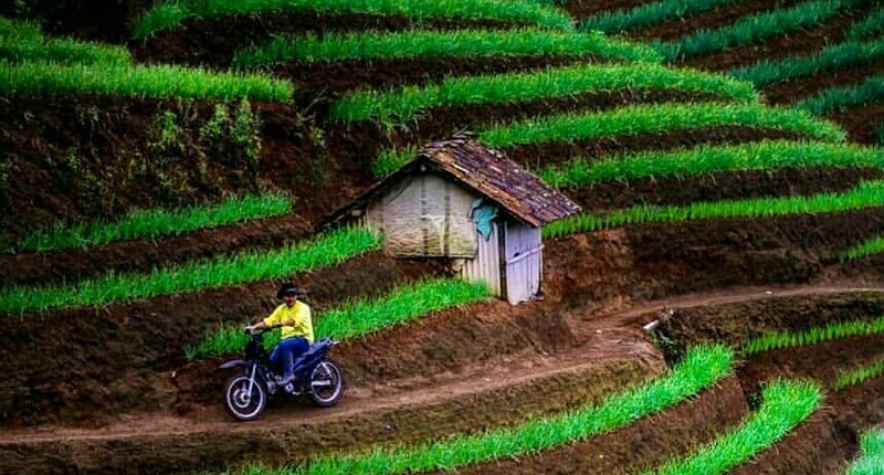 6 Surga Tersembunyi di Majalengka, Ada di Tengah Hutan hingga Suasananya seperti di Bali