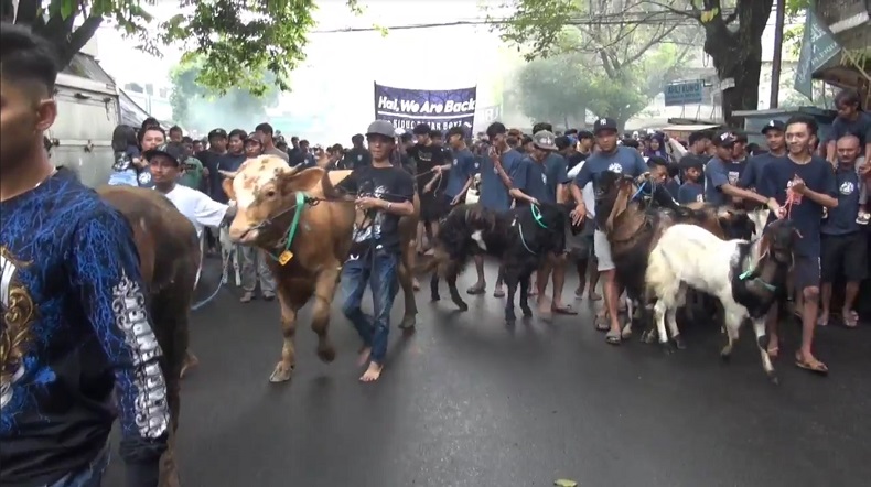 Tradisi Idul Adha di Malang, Hewan Kurban Diarak Keliling Sebelum Disembelih