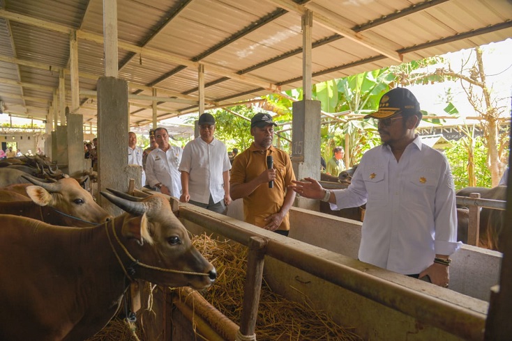 Kementan: Jumlah Hewan Kurban Surplus 1,4 Juta Ekor pada Idul Adha 2023
