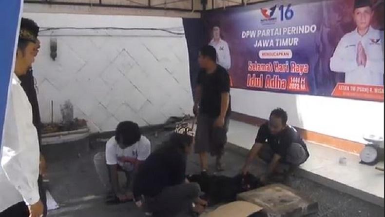 Sembelih dan Bagikan Daging Kurban, DPW Partai Perindo Jatim: Agenda Rutin Idul Adha