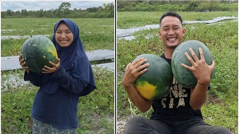 Kisah Sejoli Lulusan UI dan Unair, Kini Sukses Jadi Petani Buah di Palangka Raya
