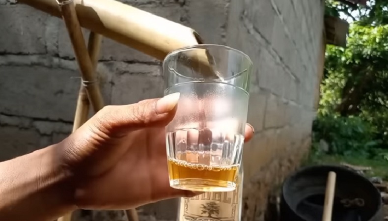 Arak Bali Terbuat dari Apa? Bahan Baku dan Prosesnya Masih Tradisional