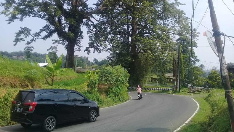 Coba Lintasi Jalur Pemalang Selatan, Pengendara Wajib Hati-Hati Jalan Menikung