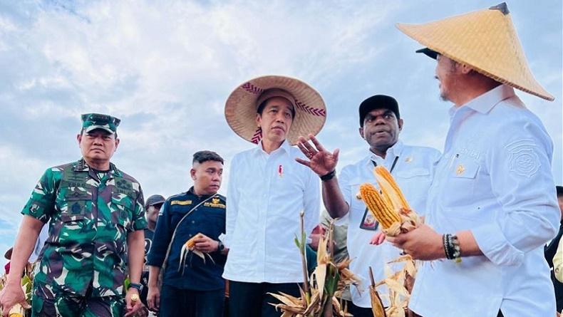 Jokowi Tinjau Food Estate di Keerom, Hasil Panen Jagung Dievaluasi Mentan