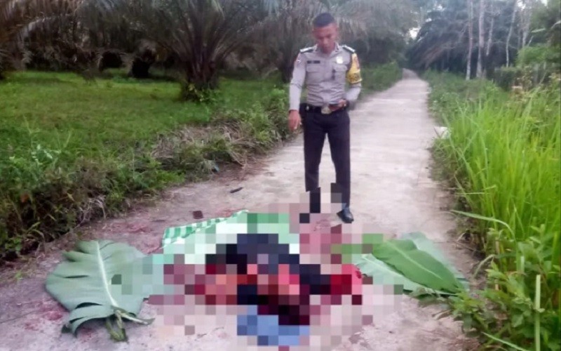 Kuansing Gempar, Pria Tewas Bersimbah Darah Diduga Korban Pembunuhan