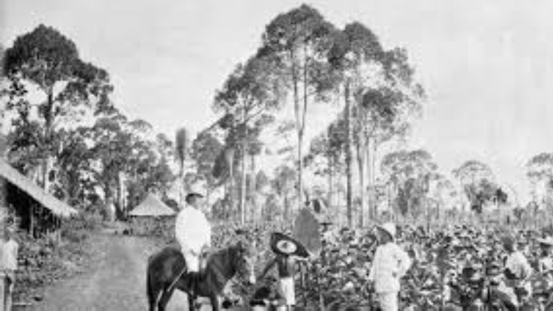 Undang-undang Agraria 1870, Jadi Awal Berdirinya Perusahaan Swasta di Hindia Belanda