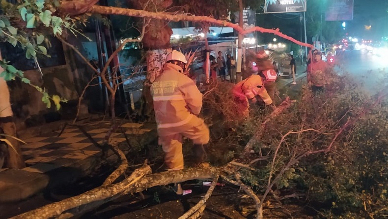 Pohon Tumbang di Kota Batu Timpa 4 Pemotor hingga Luka Parah, 2 di Antaranya Suami Istri