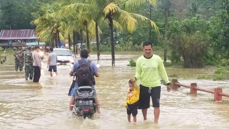 Banjir di Kolaka Timur akibat Sungai Mowewe Meluap, Ratusan Hektare Sawah Terendam