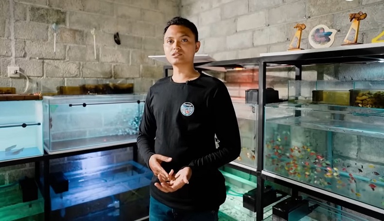 Pria Asal Kediri Ini Sukses Budi Daya Ikan Hias, Kantongi Omzet Rp90 Juta per Bulan
