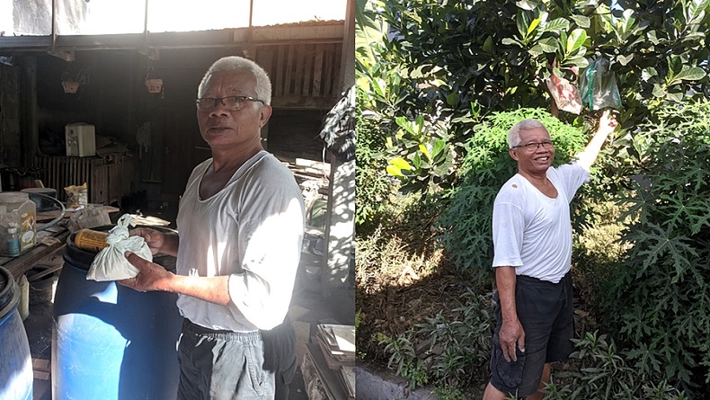 Kisah Inspiratif Mantan Dosen Ubah Kencing Sapi Jadi Pupuk Organik, Dikasih Gula Merah