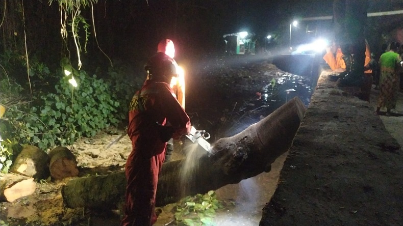 Pohon 15 Meter Tumbang Timpa Rumah Warga di Bantarjati Bogor