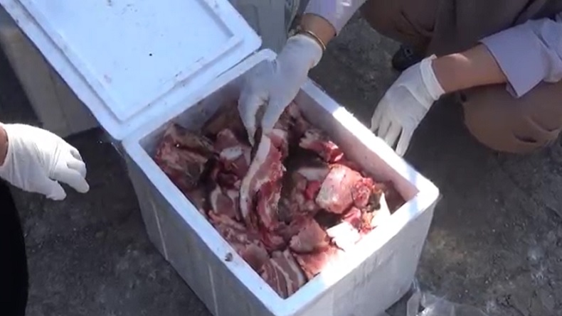 Penyelundupan Daging Babi Dicampur Daging Kerbau Terbongkar, Berawal Kecurigaan Petugas