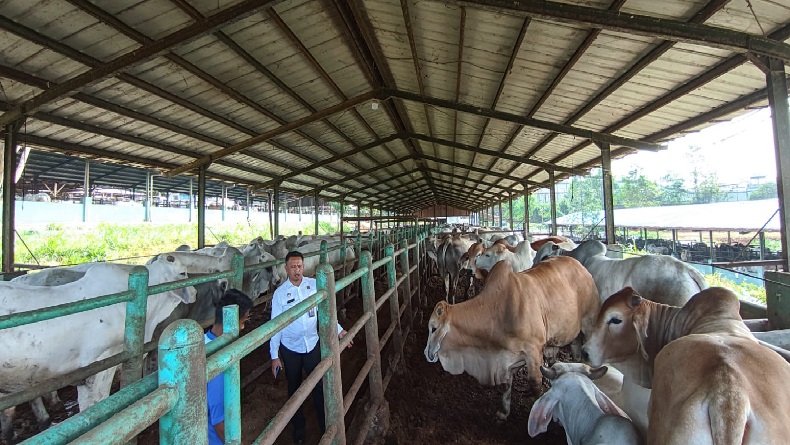 Pemberdayaan Napi, Pelihara Ratusan Ekor Sapi di Lapas Warungkiara Sukabumi