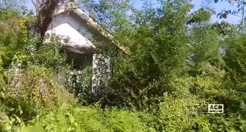 Kampung Unik di Banyuwangi, Singgah ke Permukiman Terpencilnya Bikin Merinding Mirip Desa Penari 