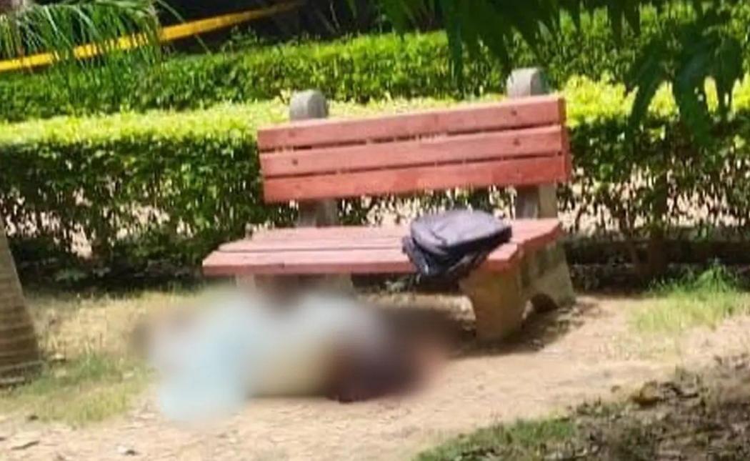 Gadis Dibunuh Sepupu di Taman, gara-gara Tolak Ajakan Nikah Pelaku
