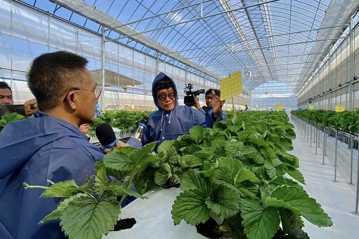 Simak, Strategi Kementan Jaga Produksi Pertanian Hadapi Ancaman El Nino