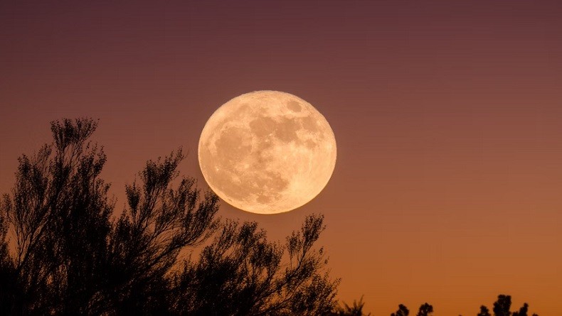 Supermoon 1 Agustus Dijuluki Sturgeon Moon, Diambil dari Nama Ikan