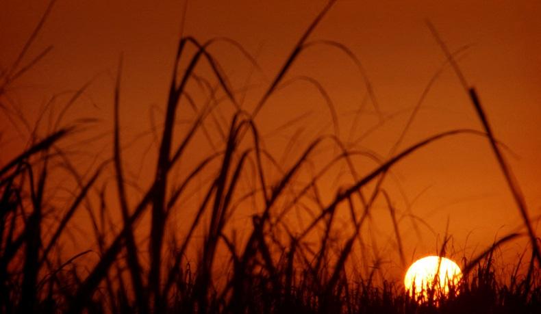 Iran Umumkan Libur 2 Hari Imbas Cuaca Panas Ekstrem 50 Derajat Celsius