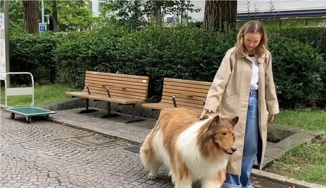 Pria Ini Berubah Jadi Anjing, Lalu Jalan-Jalan di Muka Umum Layaknya Binatang Sungguhan