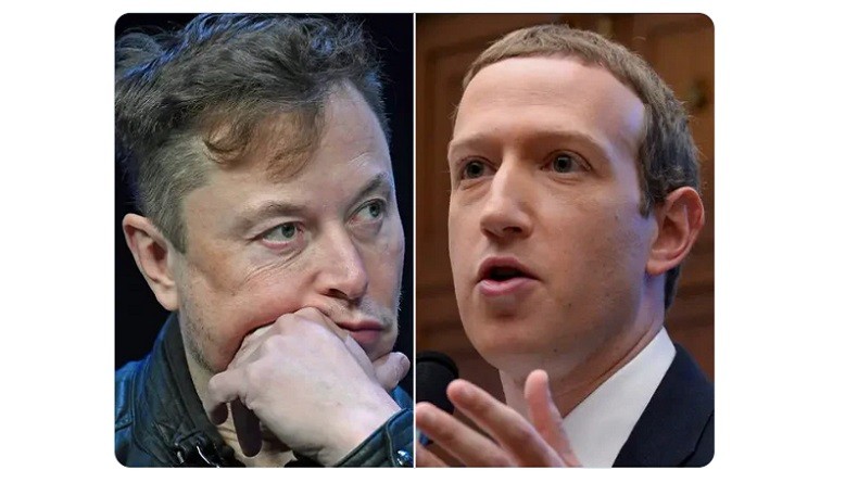 Italia Siap Jadi Tuan Rumah Duel Elon Musk vs Mark Zuckerberg, Ini Lokasinya