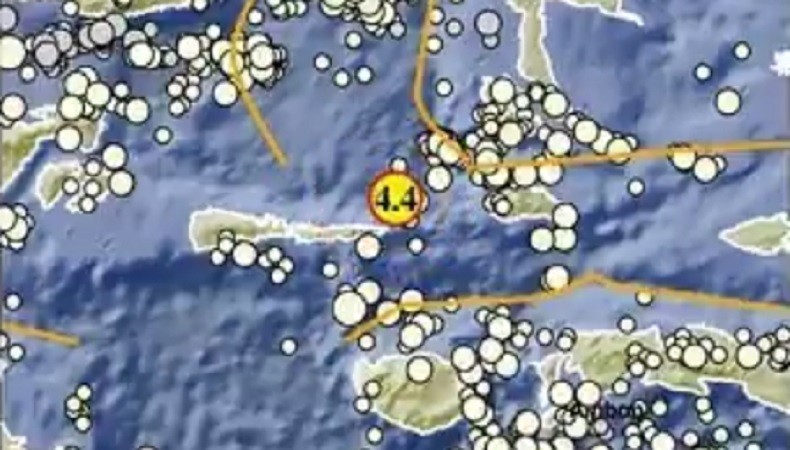 Gempa Terkini M4,4 Guncang Sanana Maluku Utara