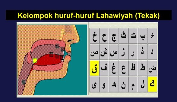 Pengertian Huruf Lahawiyah, Jumlah, Makhraj, dan Sifatnya Dalam Ilmu Tajwid