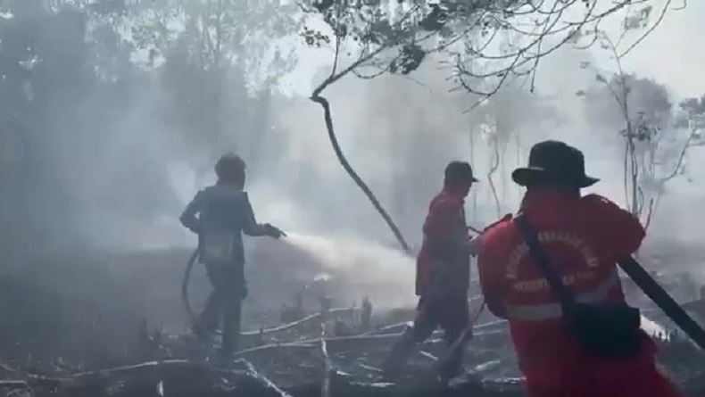 Kebakaran Lahan Semakin Meluas di Palangkaraya, Kobaran Api Dekati Permukiman