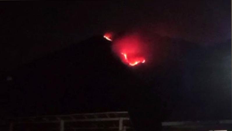 Hutan Gunung Andong Magelang Terbakar, Vegetasi Alang-alang dan Pohon Hangus