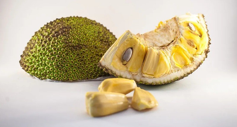 Biji Nangka Jangan Langsung Dibuang, Ternyata Punya Banyak Khasiat