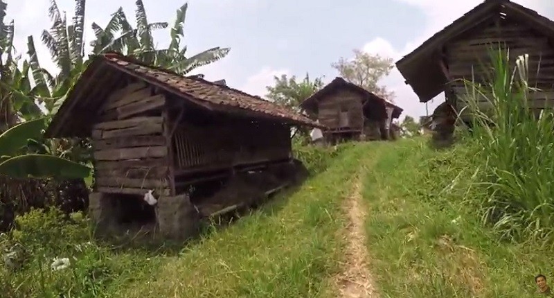 Kampung Unik di Kuningan, Singgah ke Desa Terpencilnya Bisa Lihat Permukiman Hanya Dihuni Kambing