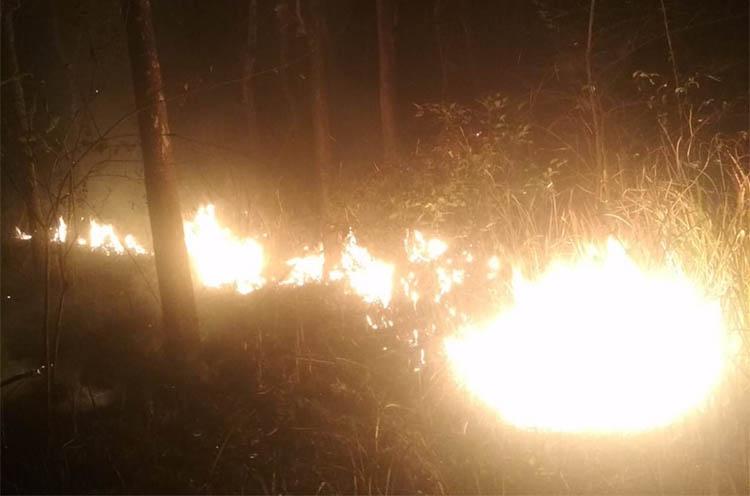 Waduh, Sehari Ada 6 Kasus Kebakaran di Gunungkidul