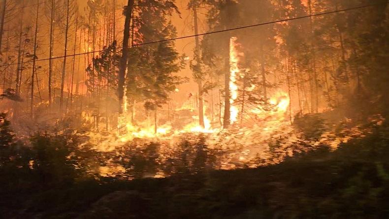 Pengungsian Ratusan Korban Banjir di Kongo Terbakar, 7 Anak Tewas