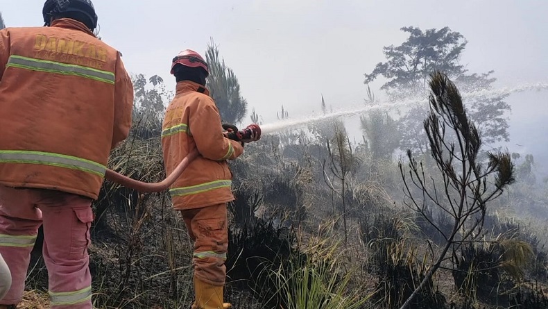 Diduga akibat Buang Puntung Sembarangan, Lahan Perhutani di Cianjur Terbakar