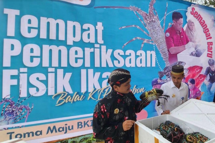 RI Ekspor 1,7 Ton Kepiting Bakau dari Maluku ke Pasar ASEAN