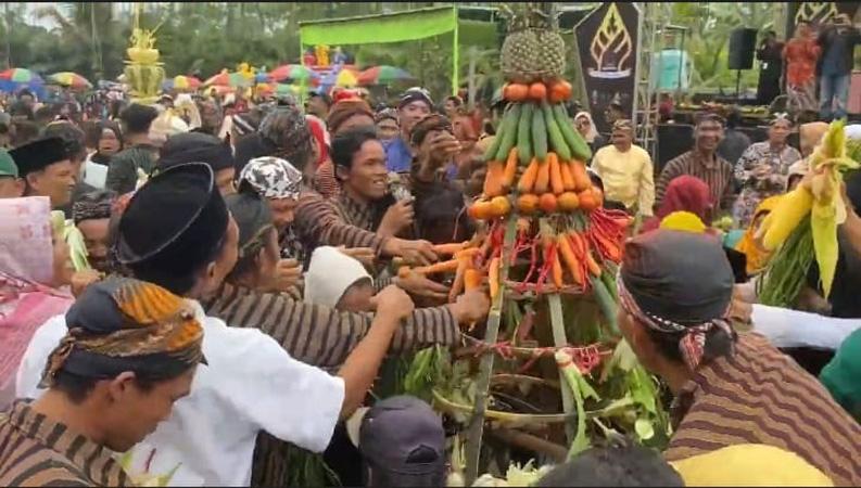 Peringatan 1 Abad Desa, Ribuan Warga Paseh Banjarnegara Berebut Gunungan Umbi dan Sayuran