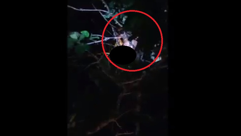 Dikira Begal, ODGJ di Sintang Babak Belur Dihajar Warga hingga sempat Lari ke Atas Pohon