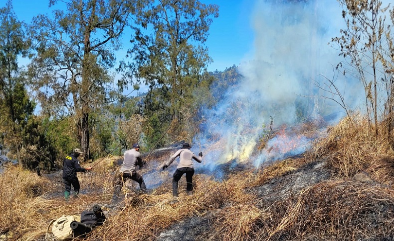 8 Hari Kebakaran Gunung Arjuno Belum Padam, 200 Petugas Masih Bertahan di Lokasi
