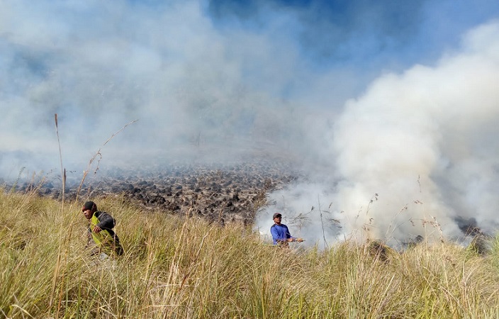 Kebakaran di Gunung Bromo Meluas, Pintu Masuk Lewat Pasuruan Ditutup