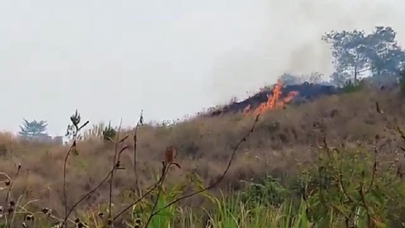2 Hektare Lahan Kaki Gunung Guntur Garut Terbakar, Diduga akibat Kelalaian Pengunjung