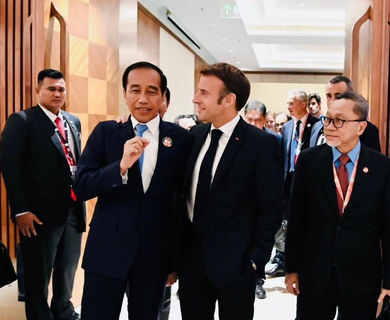 Jokowi Bertemu Emmanuel Macron, Bahas Rencana Investor Prancis Bangun IKN  