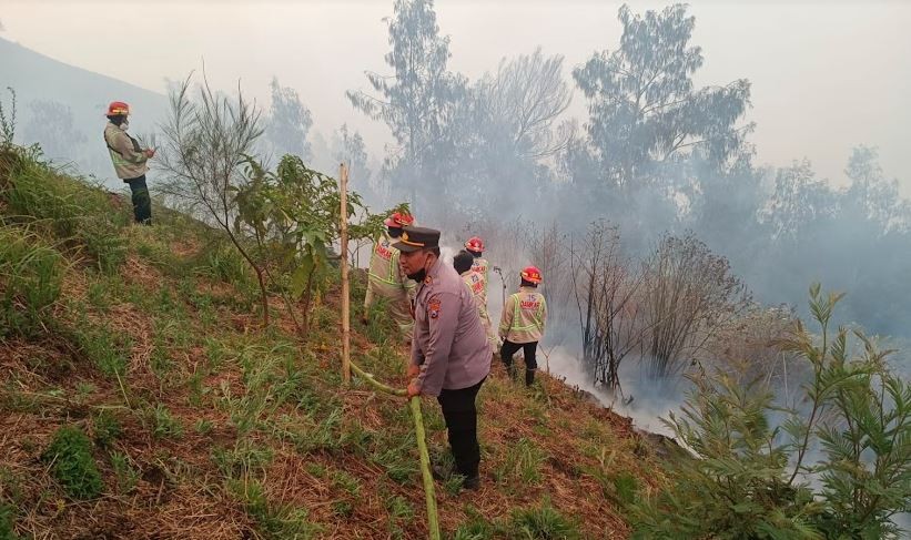 Kebakaran di Gunung Bromo Meluas, Jalur Alternatif Malang-Lumajang Ditutup