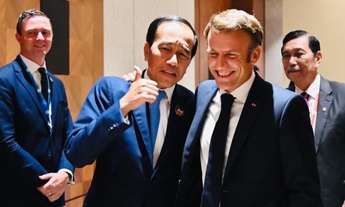 Bertemu Macron, Jokowi Apresiasi Investasi Prancis di IKN Nusantara   