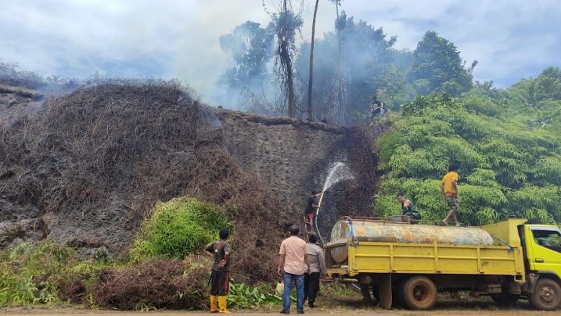 Gara-Gara Bocah Bakar Sampah, Bukit di Kolaka Utara Hangus Terbakar
