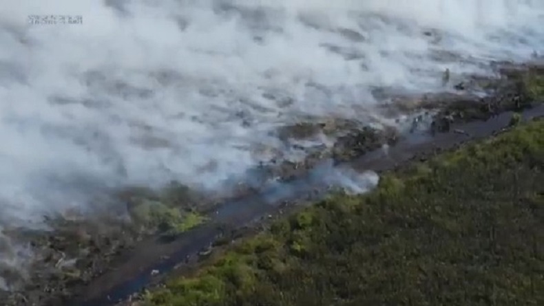 Hutan Produksi di Pulang Pisau Ludes Terbakar, Pemadaman Terkendala Sumber Air