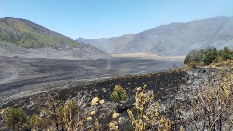 Wisata Gunung Bromo Belum Dibuka meski Api Padam, Pengelola Tunggu Situasi Aman
